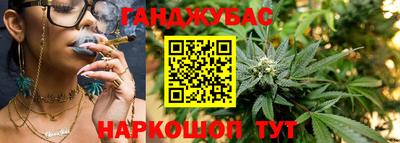 прущие грибы Можайск